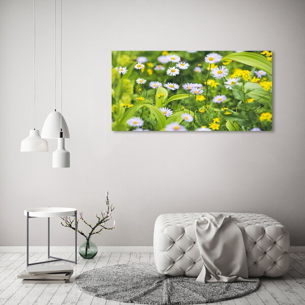 Tablou pe pânză canvas margarete