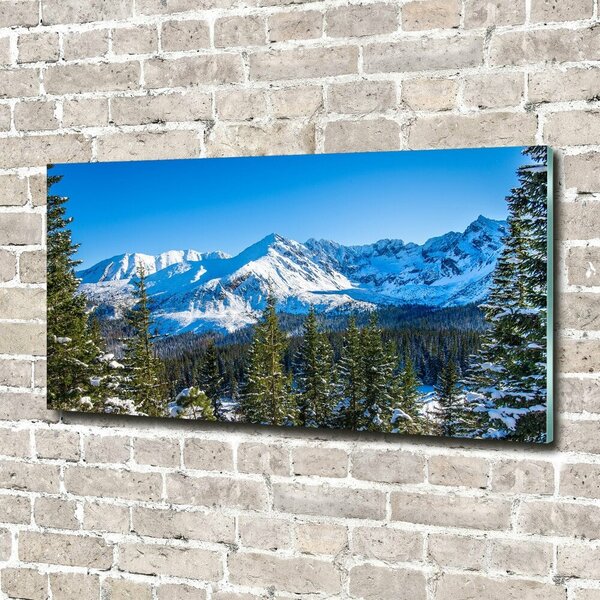 Fotografie imprimată pe sticlă panorama Tatra