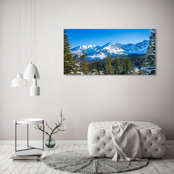Fotografie imprimată pe sticlă panorama Tatra