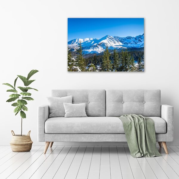 Fotografie imprimată pe sticlă panorama Tatra
