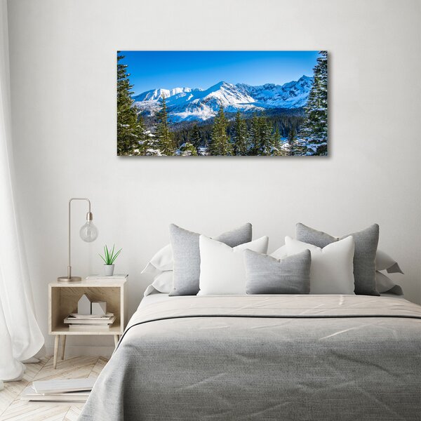 Fotografie imprimată pe sticlă panorama Tatra
