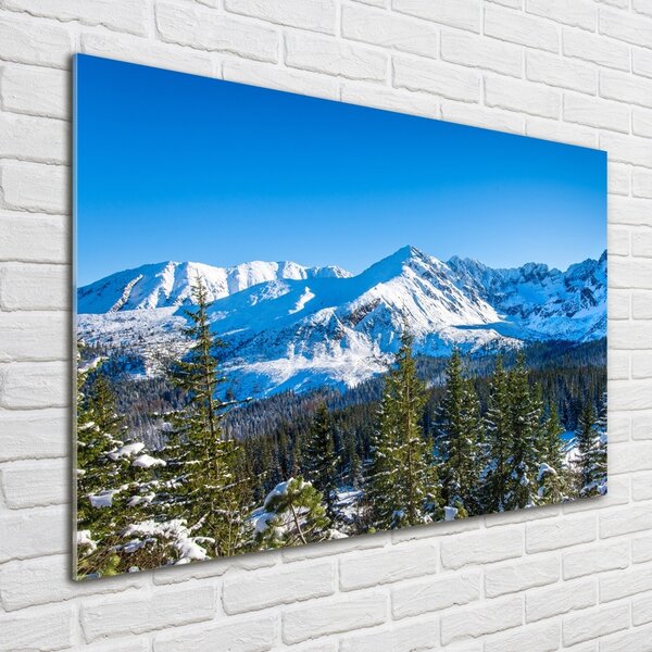 Fotografie imprimată pe sticlă panorama Tatra