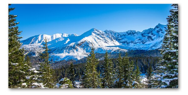 Fotografie imprimată pe sticlă panorama Tatra
