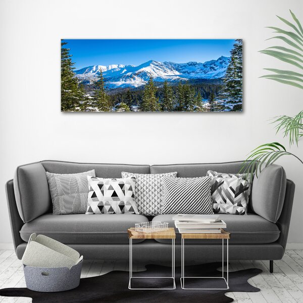 Pictură pe pânză panorama Tatra