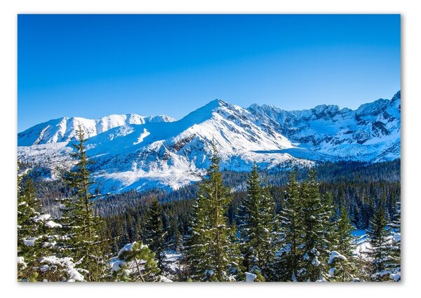 Fotografie imprimată pe sticlă panorama Tatra