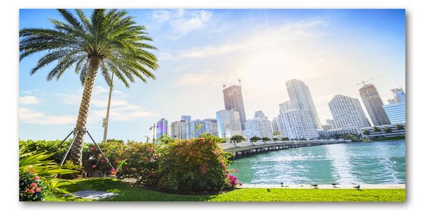 Tablou Printat Pe Sticlă Miami Statele Unite ale Americii