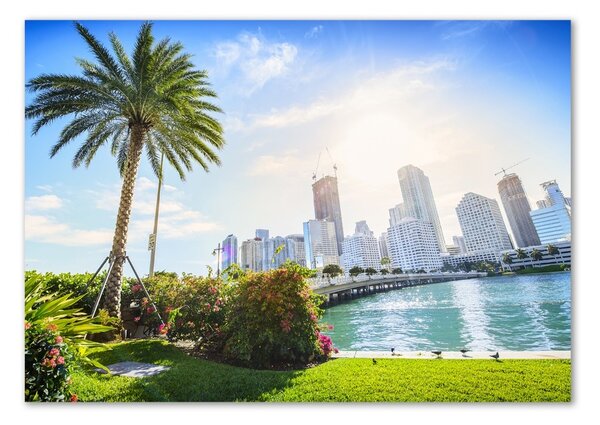 Tablou Printat Pe Sticlă Miami Statele Unite ale Americii
