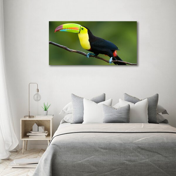 Print pe pânză Toucan