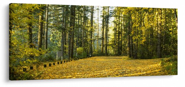 Tablou - pădurea toamna (120x50 cm)