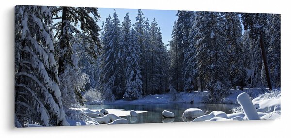Tablou pădurii înzăpezite (120x50 cm)