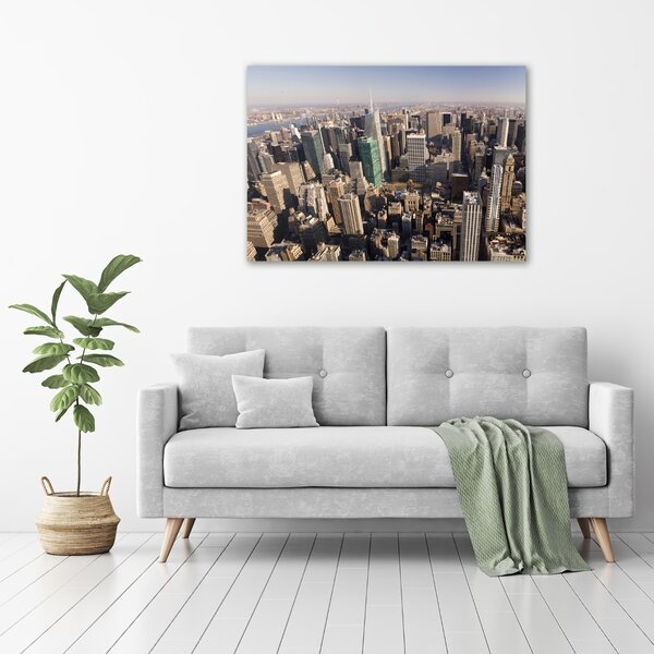 Tablou canvas New York pasăre de zbor