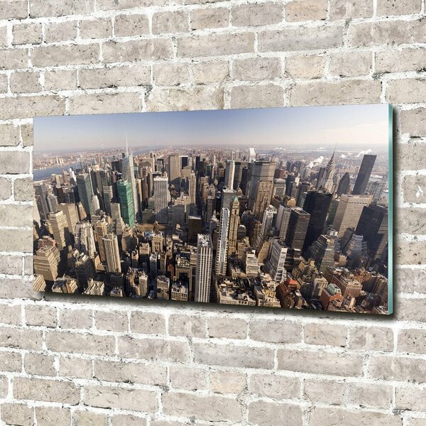 Tablou din Sticlă New York pasăre de zbor