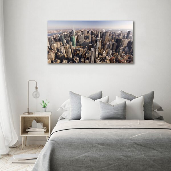 Tablou canvas New York pasăre de zbor