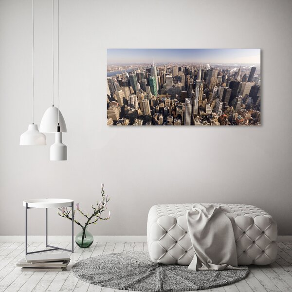 Tablou canvas New York pasăre de zbor