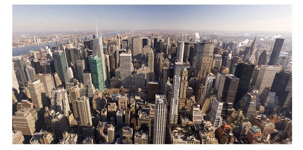 Tablou din Sticlă New York pasăre de zbor
