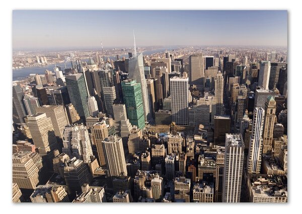 Tablou din Sticlă New York pasăre de zbor