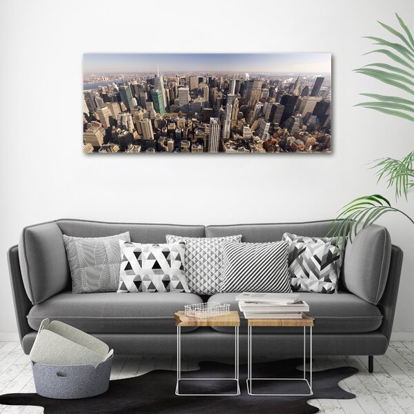 Tablou canvas New York pasăre de zbor