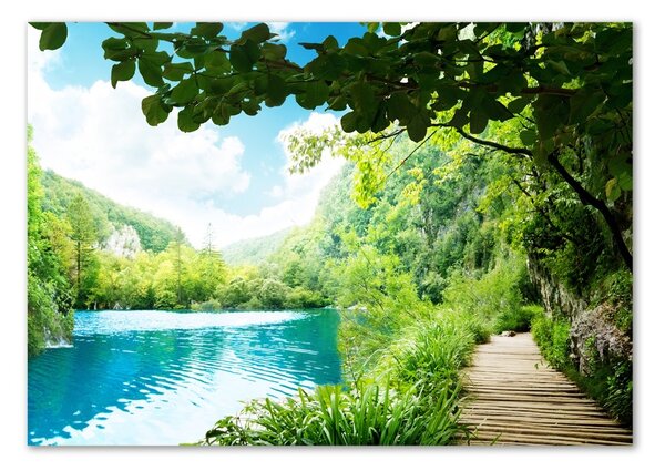 Tablou din Sticlă Cascada din pădure