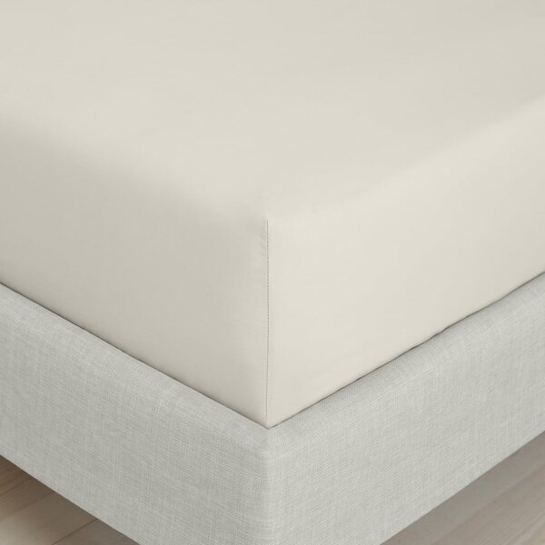 Cearceaf bej din bumbac percal cu elastic 90x190 cm Cotton Percale – Bianca