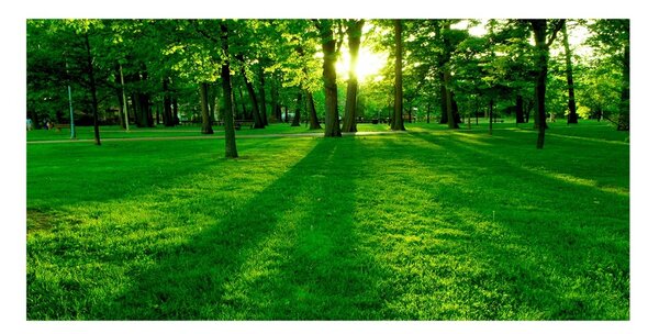 Tablou Printat Pe Sticlă Iarba în parc