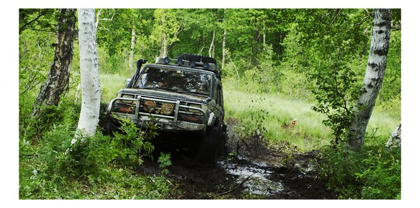 Tablou Printat Pe Sticlă Jeep în pădure