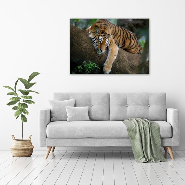 Imagine de sticlă Tiger pe un copac