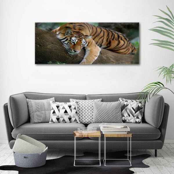 Tablou pe pânză canvas Tiger pe un copac