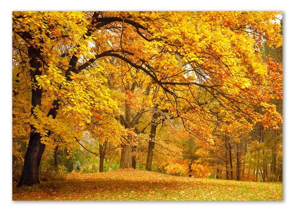 Tablou din Sticlă Toamna în parc