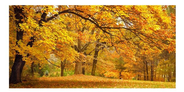 Tablou din Sticlă Toamna în parc
