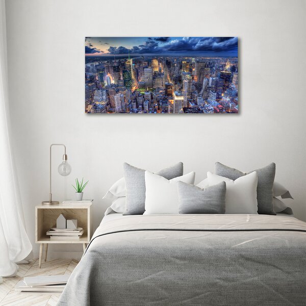 Tablou pe pânză canvas New York pasăre de zbor