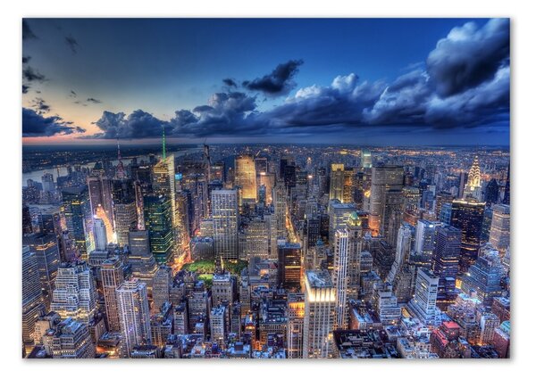 Tablou sticlă New York pasăre de zbor