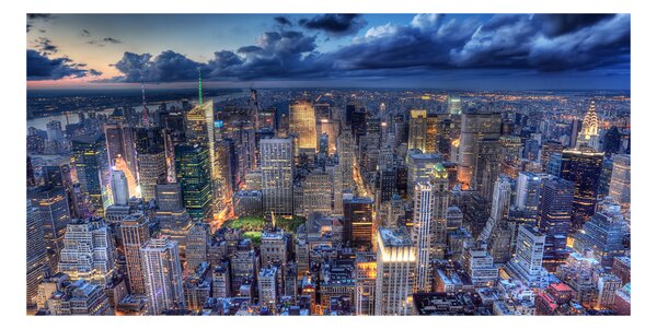 Tablou sticlă New York pasăre de zbor