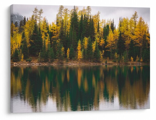 Tablou cu lac de pădure (70x50 cm)