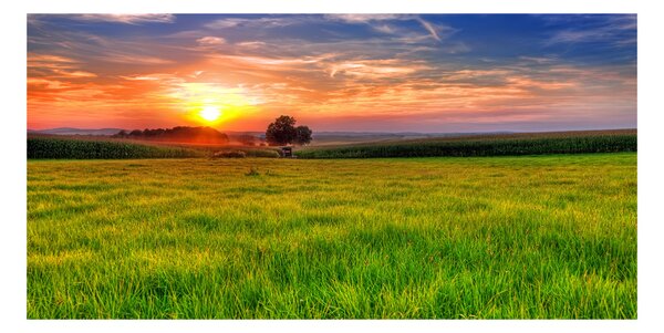 Tablou sticlă Sunset Meadow