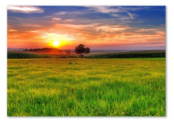 Tablou sticlă Sunset Meadow