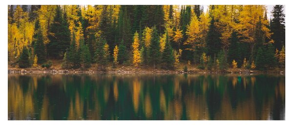 Tablou cu lac de pădure (120x50 cm)