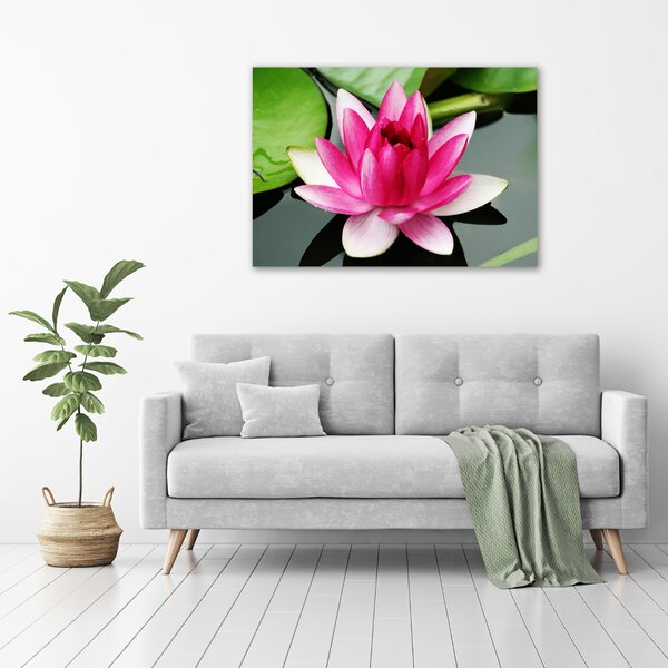 Imprimare tablou canvas nufăr