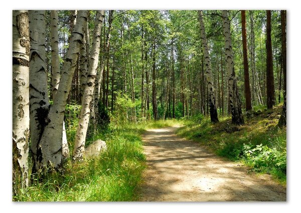 Imagine de sticlă Calea în pădure
