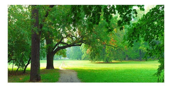 Fotografie imprimată pe sticlă Park din toamna