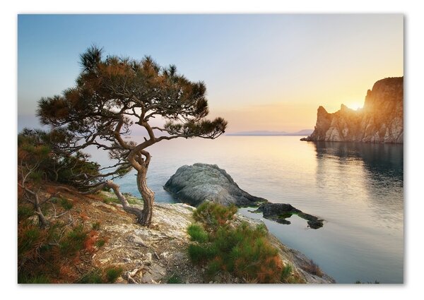 Fotografie imprimată pe sticlă Arborele de mare