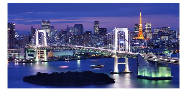 Fotografie imprimată pe sticlă Podul din Tokyo