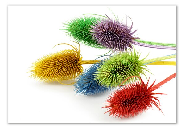 Tablou pe sticlă acrilică Orhidee