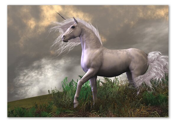Tablou Printat Pe Sticlă unicorn gri