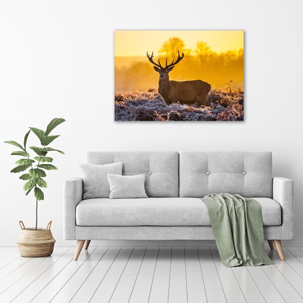 Tablouri tipărite pe pânză Sunrise Deer