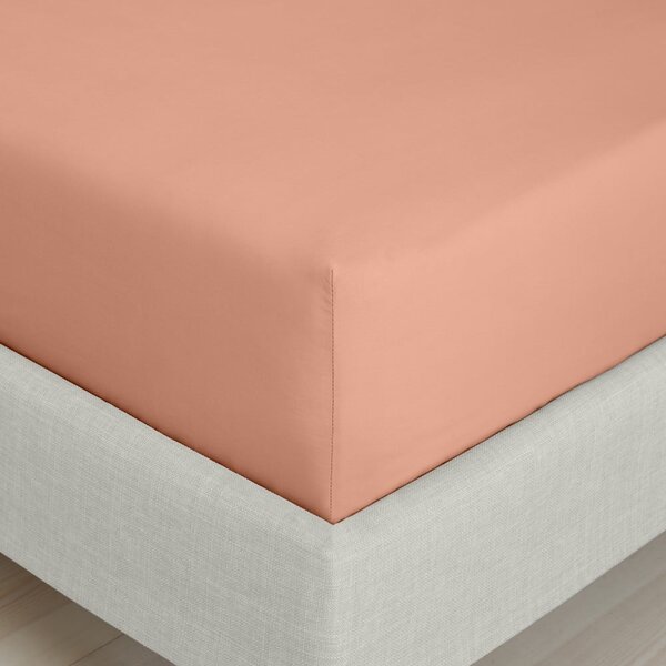 Cearceaf teracotă din bumbac percal cu elastic 90x190 cm Cotton Percale – Bianca