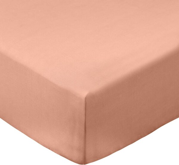 Cearceaf teracotă din bumbac percal cu elastic 90x190 cm Cotton Percale – Bianca