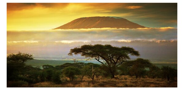 Tablou din Sticlă Kilimanjaro Kenya