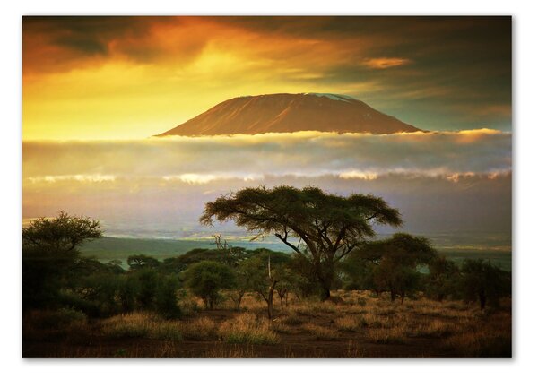 Tablou din Sticlă Kilimanjaro Kenya