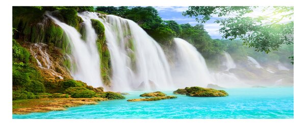 Tablou sticlă acrilică Floare de cireș și fluture