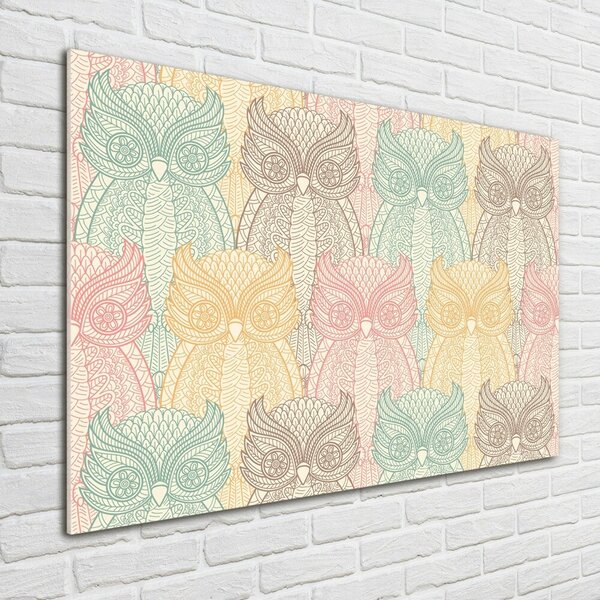 Tablou Printat Pe Sticlă Owls